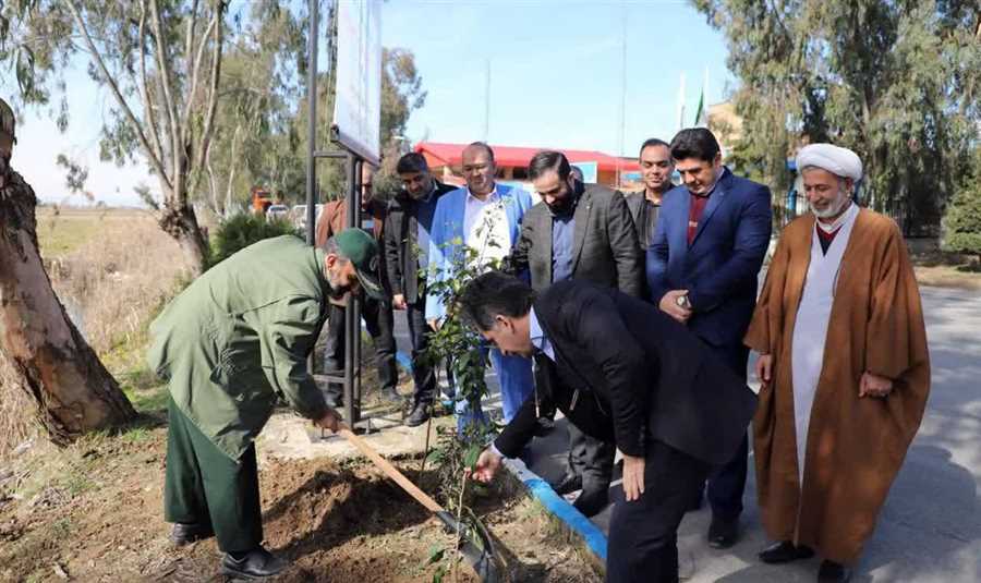 ۱۸۰ هکتار از شهرک‌های صنعتی مازندران سبز شد